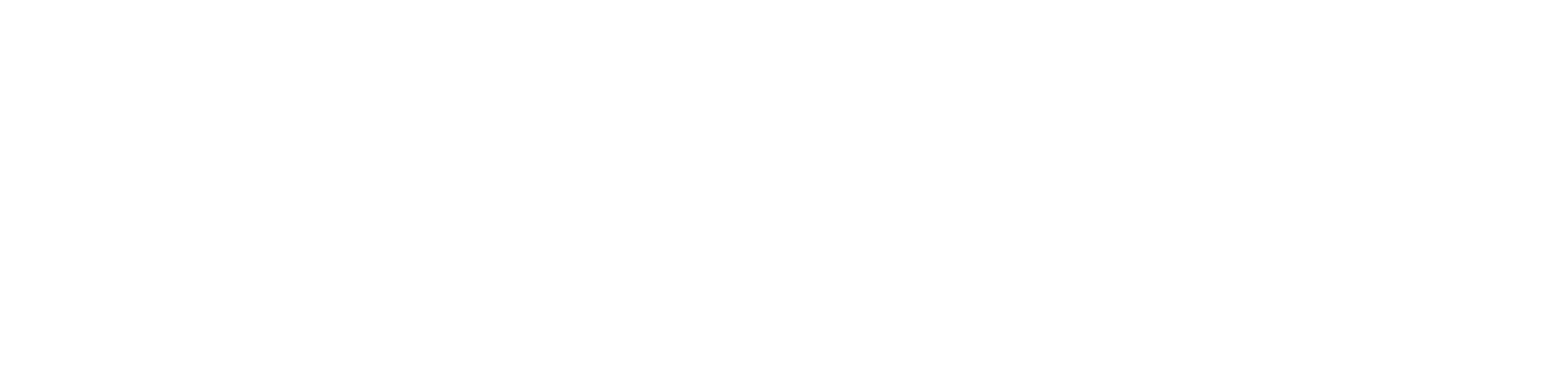 lider_white.png
